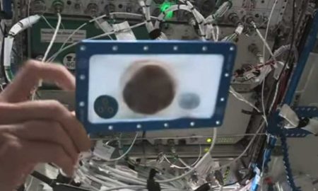 Астронавты МКС впервые испекли печенье в космосе