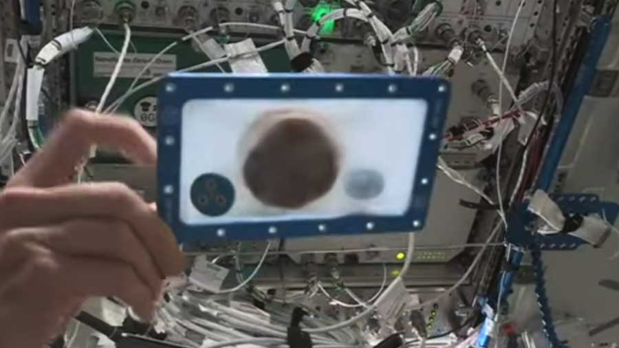 Астронавты МКС впервые испекли печенье в космосе