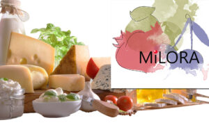 МИЛОРА — интернет-магазин пищевых ингредиентов
